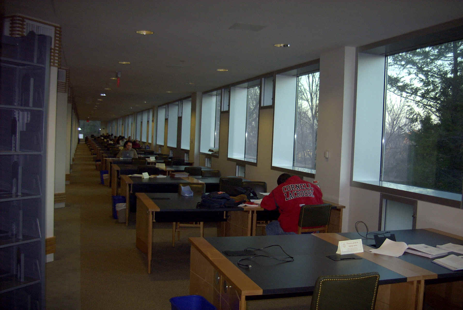 Mann_study_area.jpg