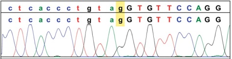 dnaseq.jpeg